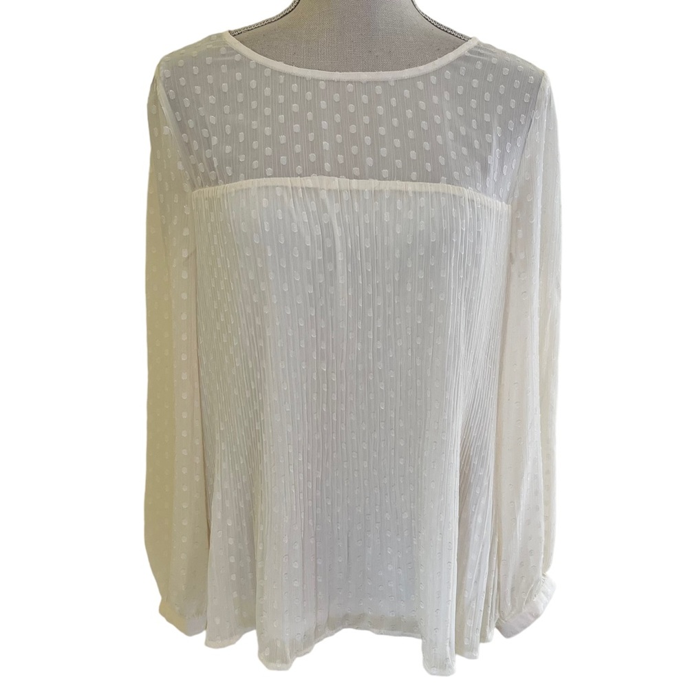 Sheer Dot-Textured Long Sleeve Blouse - White